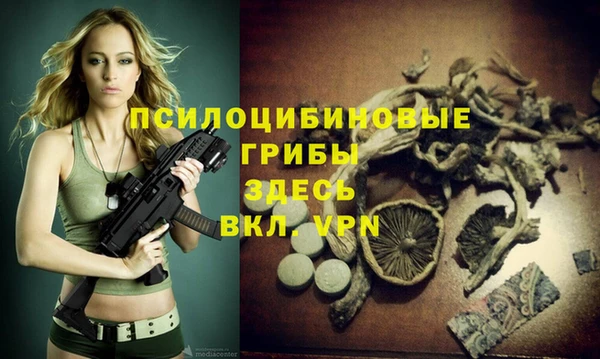 соль курить ск Покровск